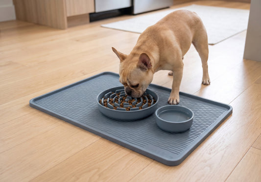 Non-Slip Feeding Mat